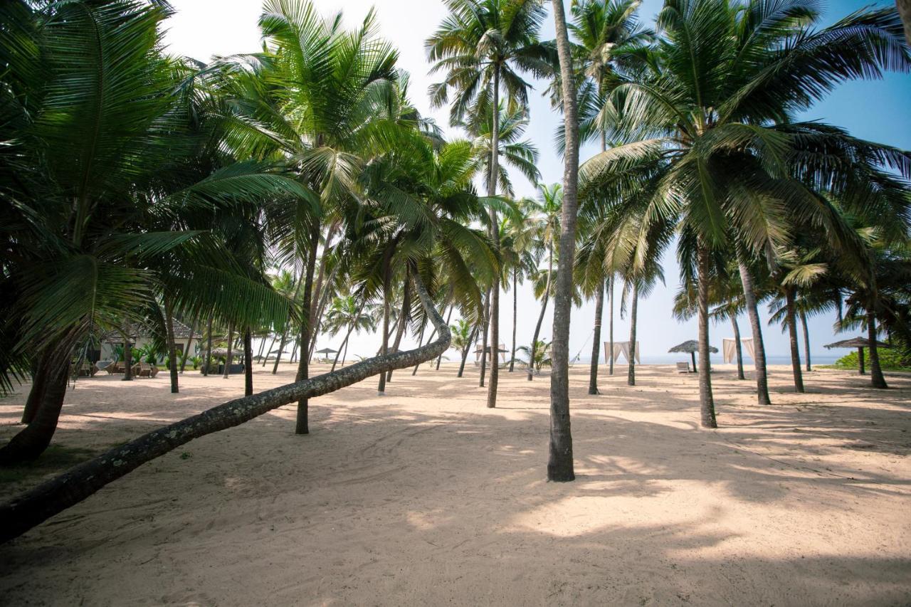 Malabar Ocean Front Resort And Spa, Bekal Nīleshwar Zewnętrze zdjęcie